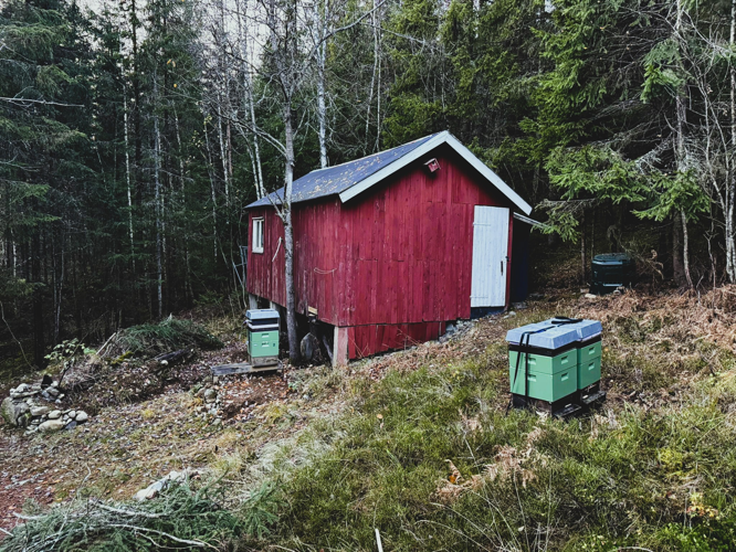 Seigr Bigård Apiary